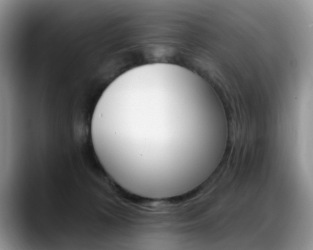 X0000088890324200706080811