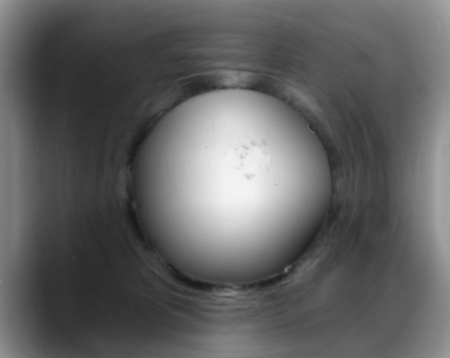 X0000088890325200706080811