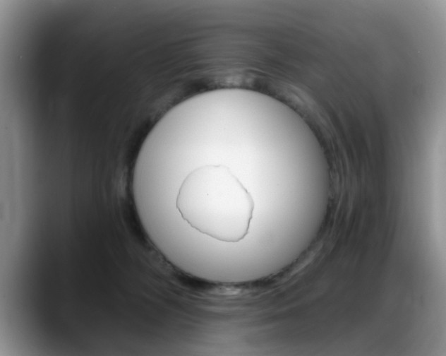 X0000088890326200706080811