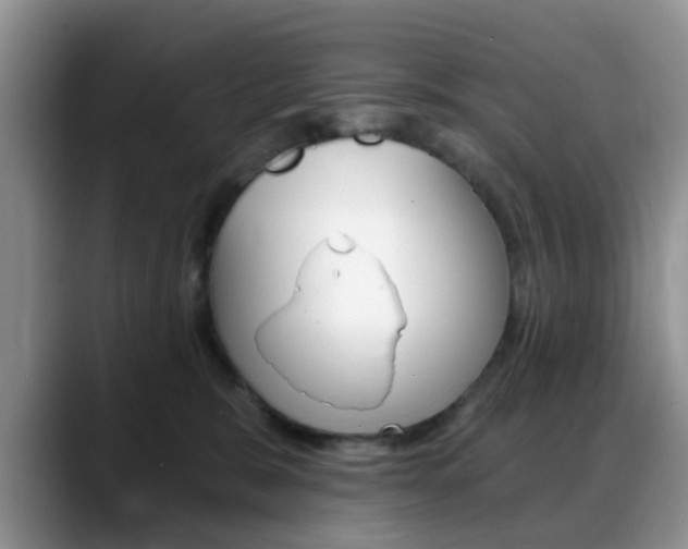X0000088890327200706080811