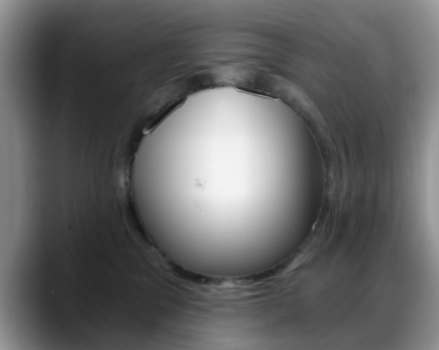 X0000088890329200706080811