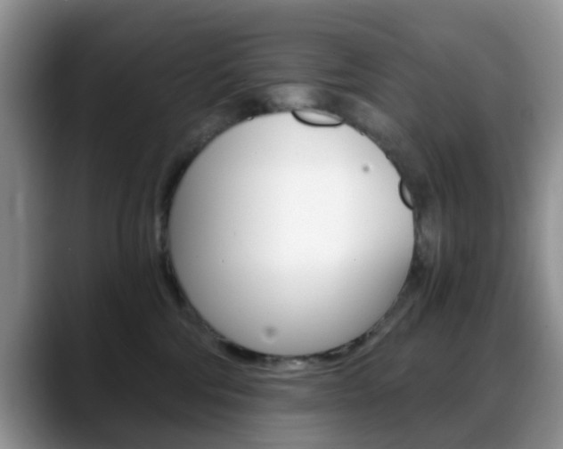 X0000088890330200706080811