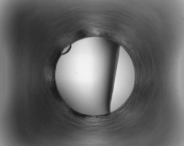 X0000088890331200706080811
