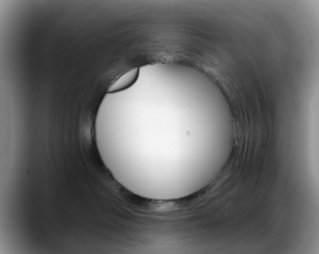 X0000088890334200706080811