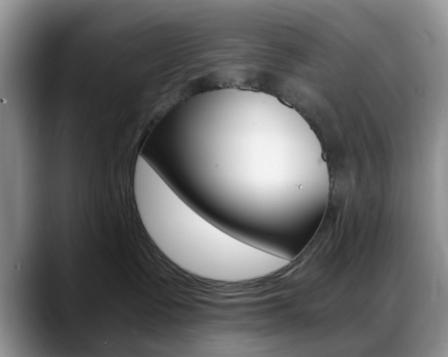 X0000088890335200706080811