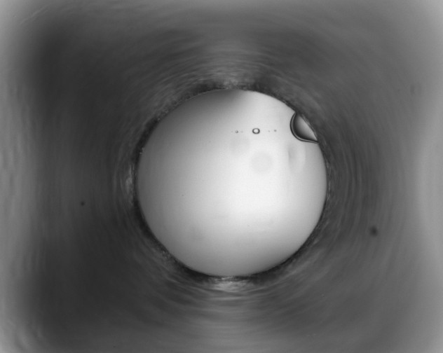 X0000088890336200706080811