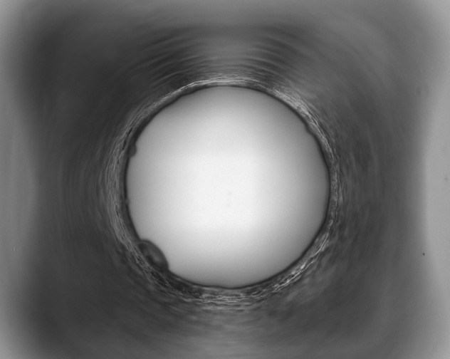 X0000088890337200706080811