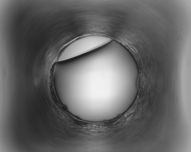X0000088890338200706080811