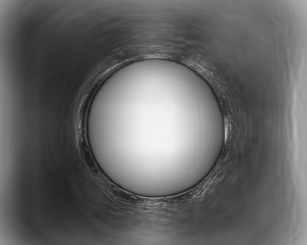 X0000088890339200706080811