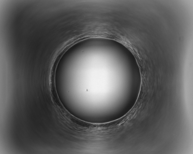X0000088890340200706080811