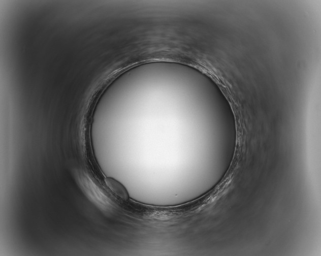X0000088890341200706080811