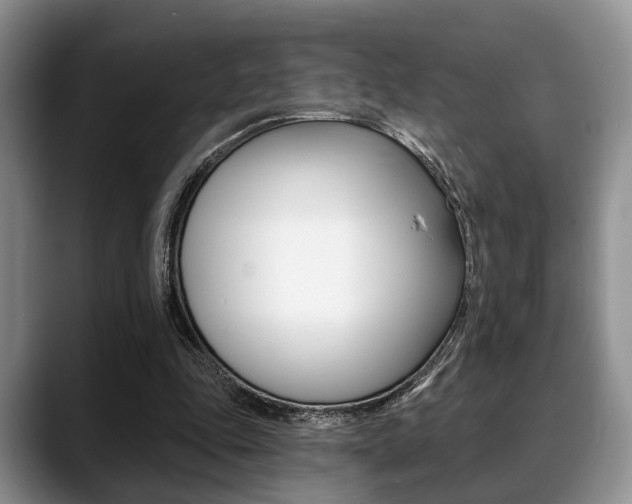 X0000088890343200706080811