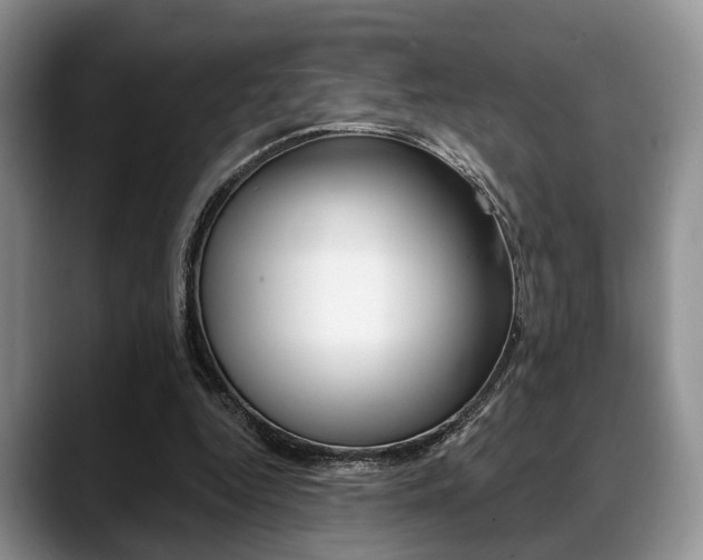 X0000088890344200706080811