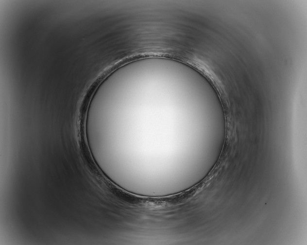 X0000088890346200706080811