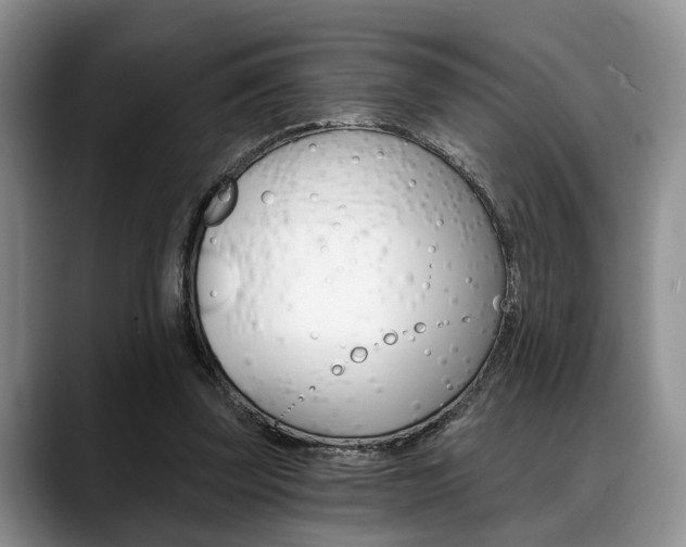 X0000088890347200706080811