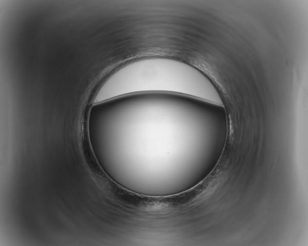 X0000088890348200706080811