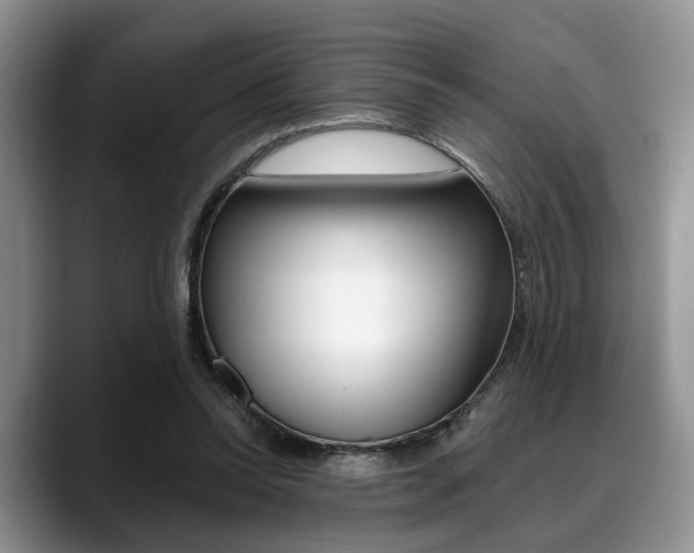 X0000088890350200706080811