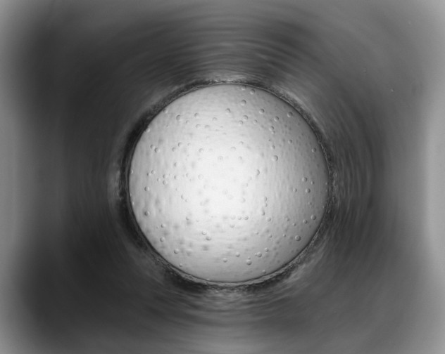 X0000088890351200706080811