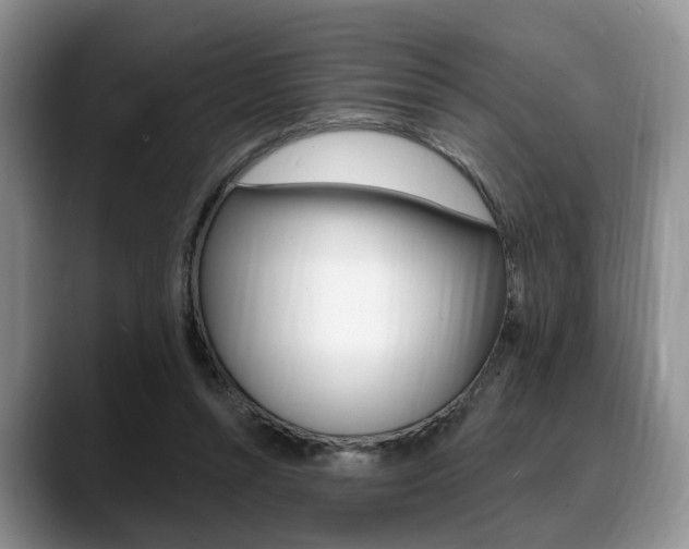 X0000088890352200706080811