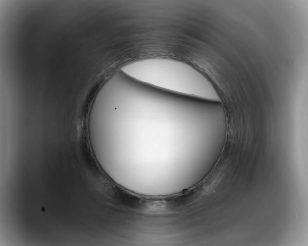 X0000088890355200706080811