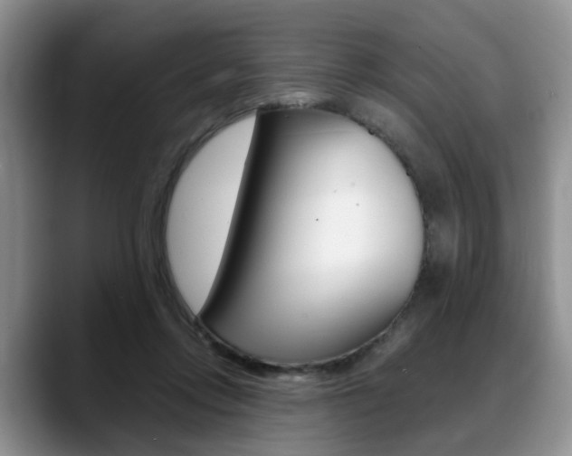 X0000088890358200706080811