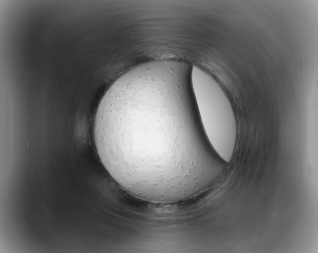 X0000088890359200706080811