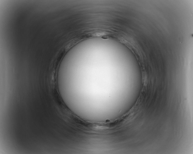 X0000088890360200706080811
