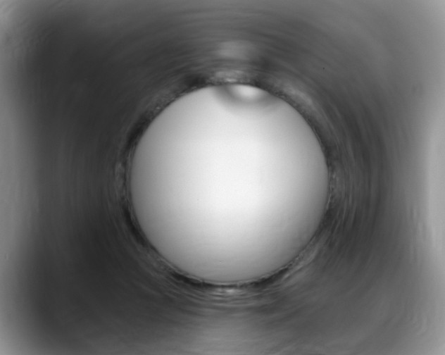 X0000088890361200706080811