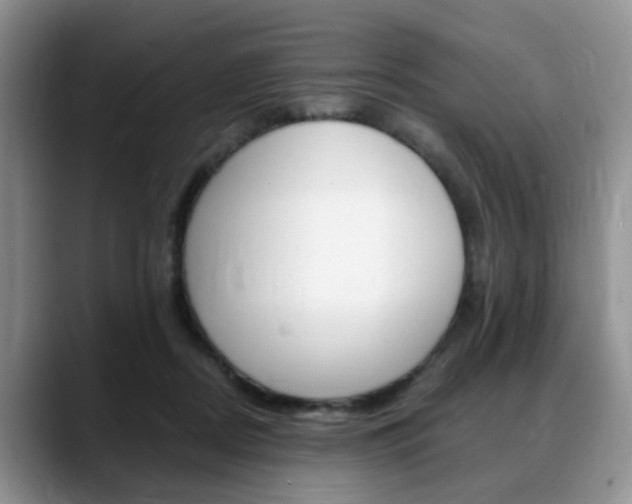 X0000088890362200706080811