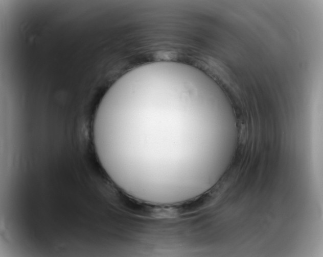 X0000088890363200706080811