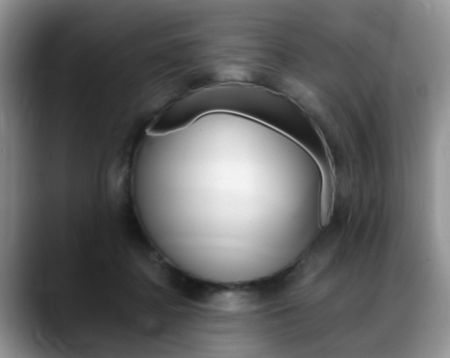 X0000088890364200706080811