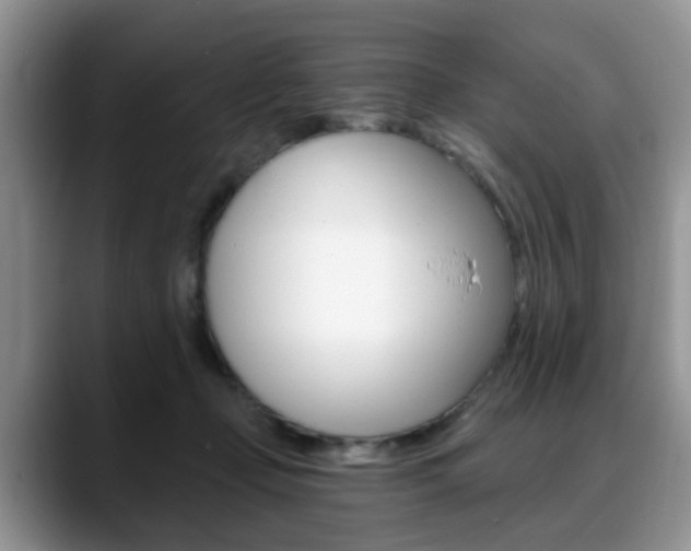 X0000088890365200706080811