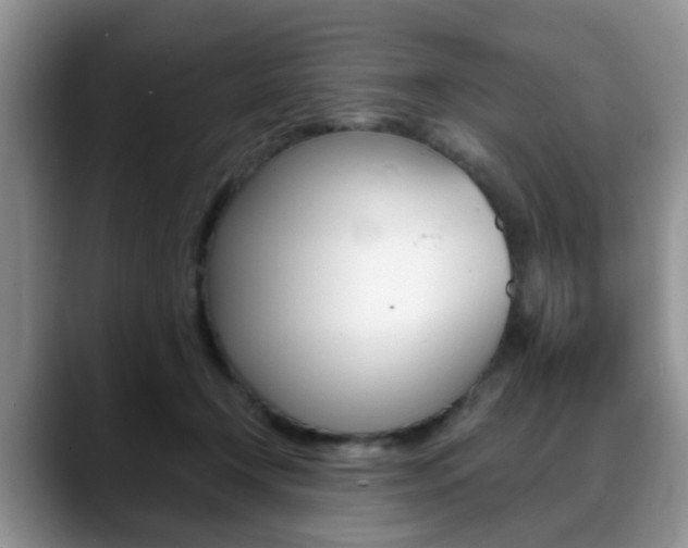 X0000088890366200706080811