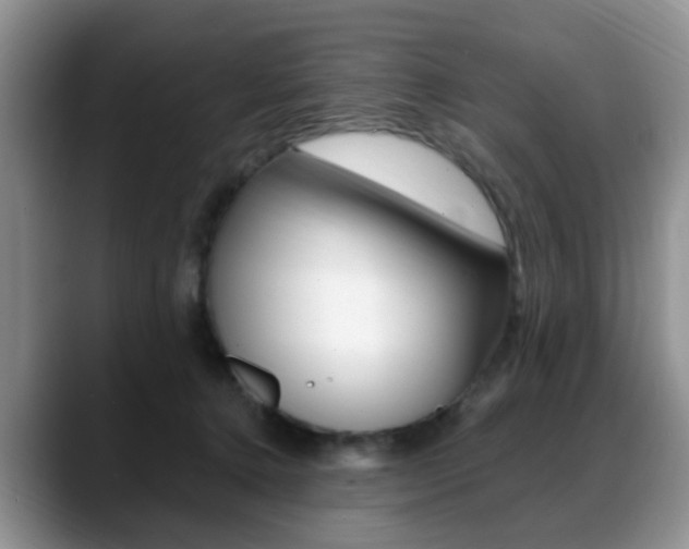 X0000088890368200706080811