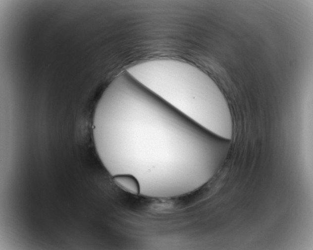 X0000088890369200706080811