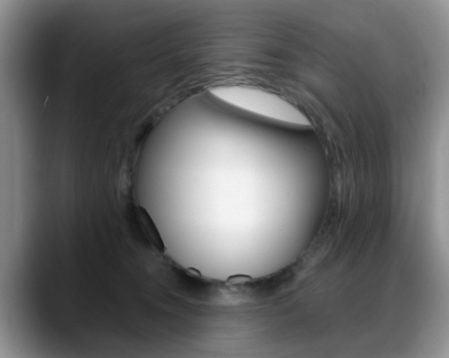 X0000088890372200706080811