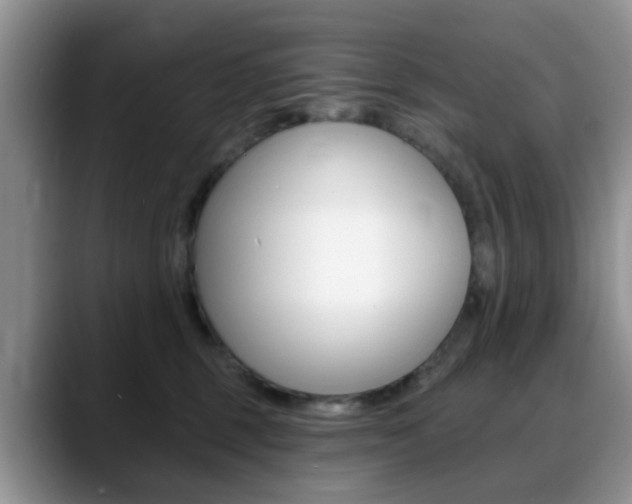 X0000088890375200706080811