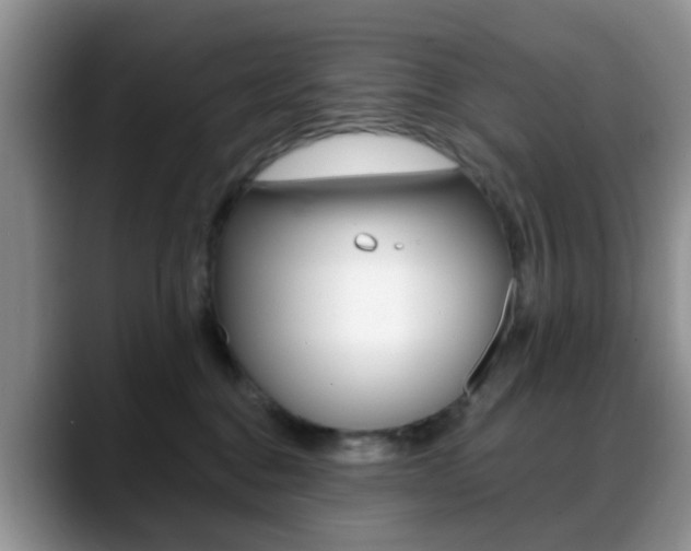 X0000088890376200706080811
