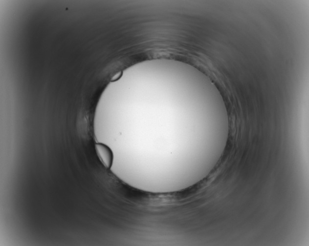 X0000088890378200706080811