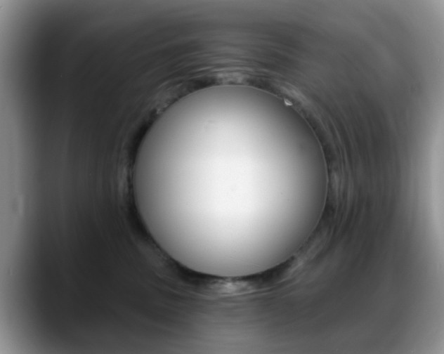X0000088890379200706080811