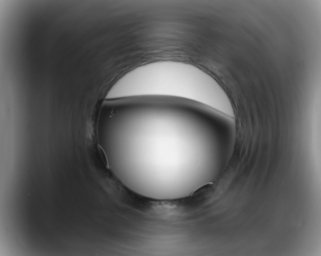X0000088890380200706080811