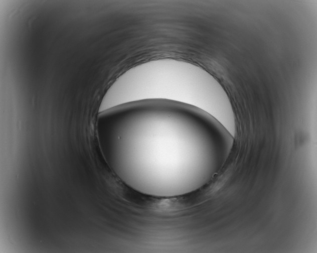 X0000088890382200706080811