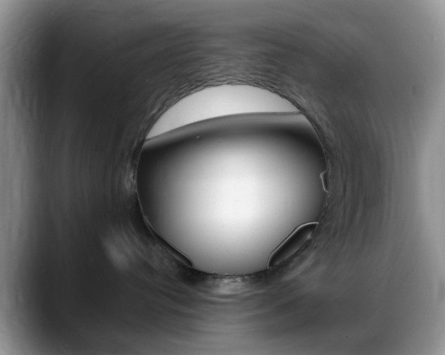 X0000088890384200706080811