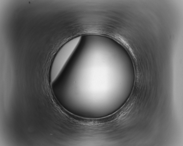 X0000088890385200706080811
