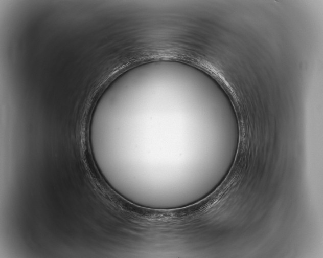 X0000088890386200706080811