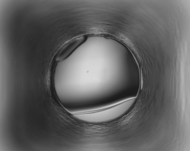 X0000088890387200706080811