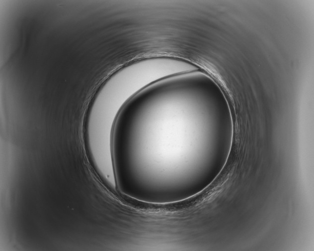X0000088890389200706080811