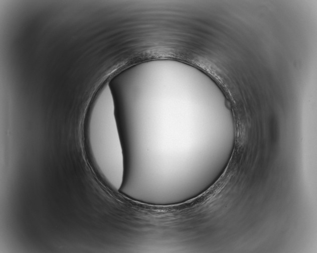X0000088890390200706080811