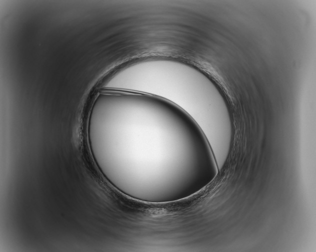 X0000088890392200706080811