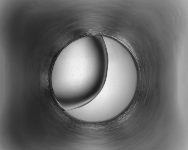X0000088890393200706080811